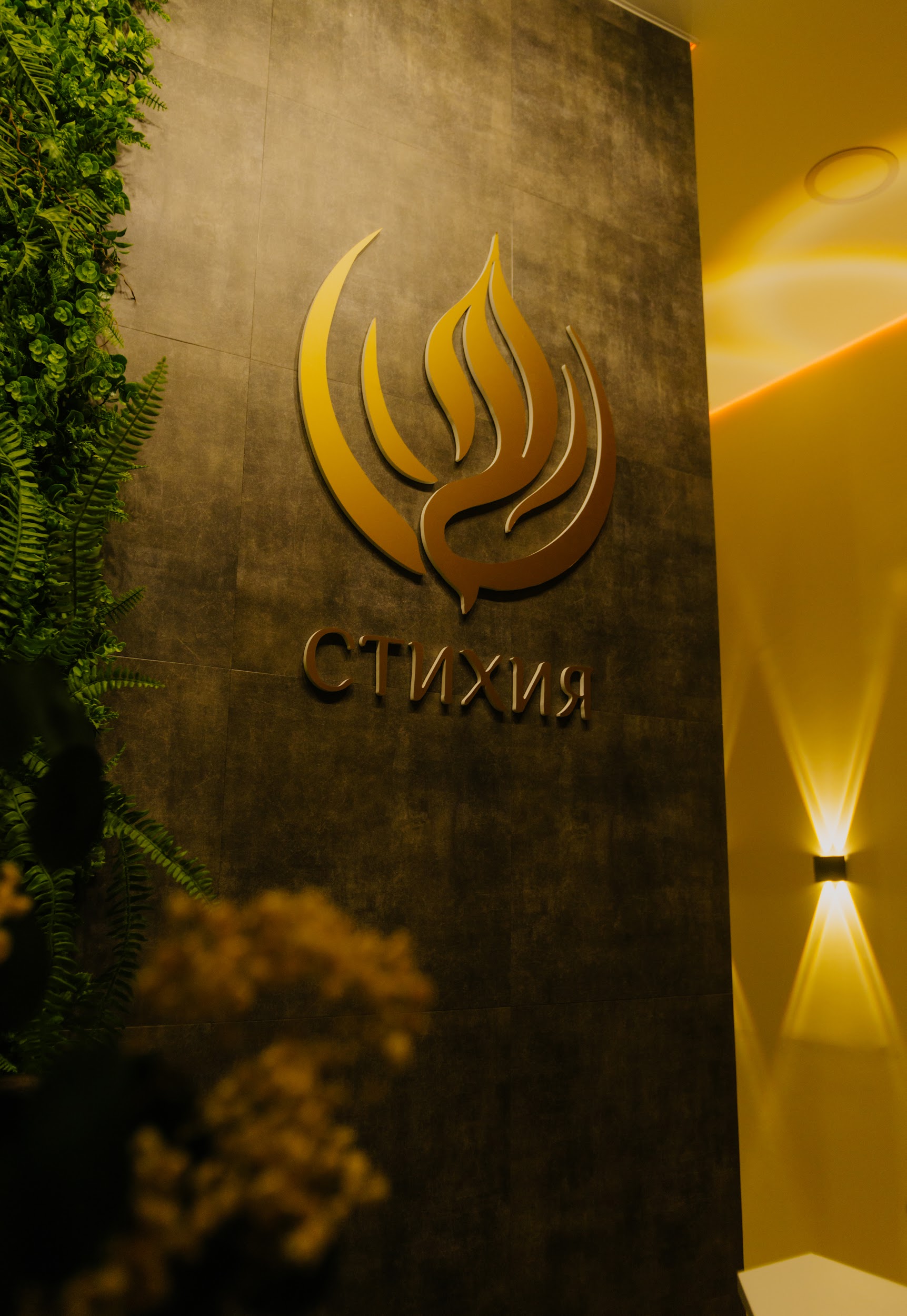 Кабинет детокс-программ